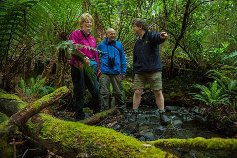 Bruny Island Traveller - Gourmet Tasting And Sightseeing Day Trip From Hobart - Accommodation Mooloolaba 1