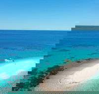 Ocean Safari Great Barrier Reef Experience in Cape Tribulation - Accommodation Mooloolaba