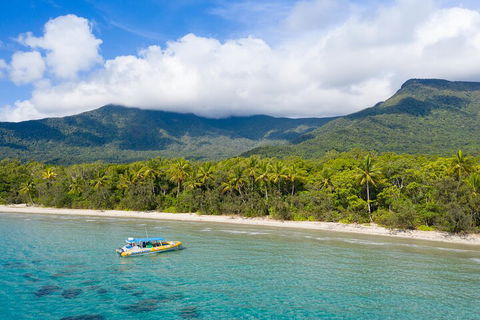 Ocean Safari Great Barrier Reef Experience In Cape Tribulation - Accommodation Mooloolaba 2