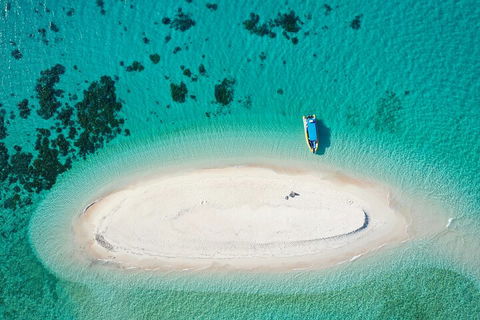 Ocean Safari Great Barrier Reef Experience In Cape Tribulation - Accommodation Mooloolaba 3
