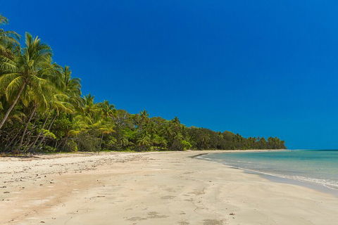 Ocean Safari Great Barrier Reef Experience In Cape Tribulation - Accommodation Mooloolaba 4