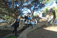 1/2 day Swan Valley Wine Cheese  Chocolate Tour Inc Afternoon Cruise to Perth