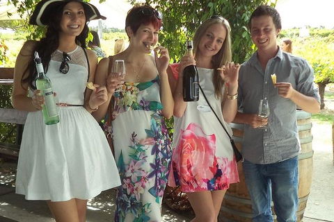 1/2 Day Swan Valley Wine Cheese & Chocolate Tour Inc Afternoon Cruise To Perth - Accommodation Mooloolaba 4