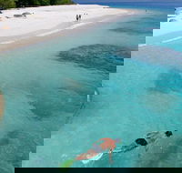 Fitzroy Island Day Trip from Cairns - Accommodation Mooloolaba