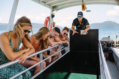 Fitzroy Island Day Trip From Cairns - Accommodation Mooloolaba 4