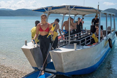 Fitzroy Island Day Trip From Cairns - Accommodation Mooloolaba 5