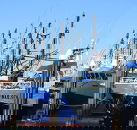 One Day Port Lincoln Tour - Tasting Eyre - Accommodation Mooloolaba