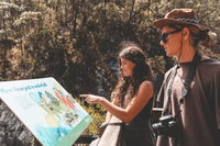 Springbrook andTamborine Rainforest Tour Incl Natural Bridge and Glow Worm Cave, Brisbane