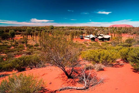 Overnight Uluru (Ayers Rock) Small-Group Camping Tour - Accommodation Mooloolaba 2