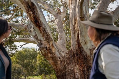 NEW TOUR - Kangaroo Island Road To Recovery Tour (1 Day/1 Night) - Accommodation Mooloolaba 0