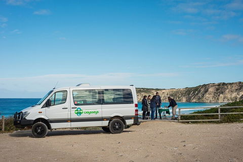 Full Day Flinders Chase Tour From Kangaroo Island - Accommodation Mooloolaba 3