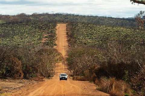 Full Day Flinders Chase Tour From Kangaroo Island - Accommodation Mooloolaba 4