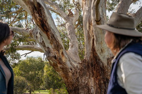 Full Day Flinders Chase Tour From Kangaroo Island - Accommodation Mooloolaba 5