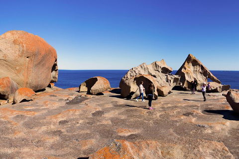 Full-Day Kangaroo Island Experience Departing From Kangaroo Island - Accommodation Mooloolaba 4