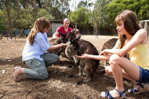 Full-Day Kangaroo Island Experience Departing From Kangaroo Island - Accommodation Mooloolaba 5