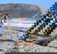 Full day Seal Bay Experience departing from Kangaroo Island - Accommodation Mooloolaba