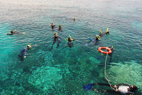 Seastar Luxury Outer Great Barrier Reef Island And Reef Tour From Cairns - Accommodation Mooloolaba 2