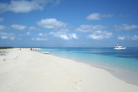 Seastar Luxury Outer Great Barrier Reef Island And Reef Tour From Cairns - Accommodation Mooloolaba 3