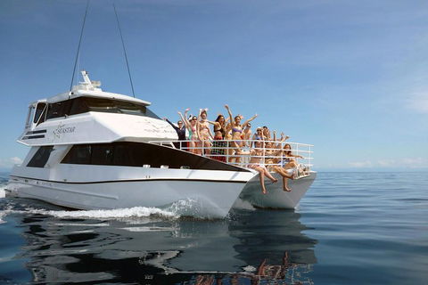 Seastar Luxury Outer Great Barrier Reef Island And Reef Tour From Cairns - Accommodation Mooloolaba 4