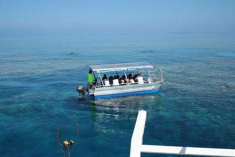 Seastar Luxury Outer Great Barrier Reef Island And Reef Tour From Cairns - Accommodation Mooloolaba 5