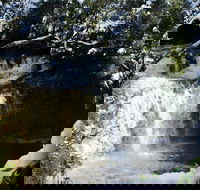 Cradle Mountain Day Tour from Launceston Including Lunch - Accommodation Mooloolaba