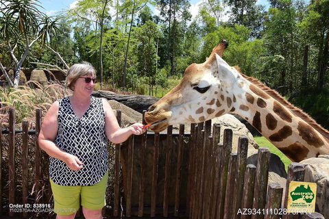 Small-Group Australia Zoo Day Trip From Brisbane - Accommodation Mooloolaba 2