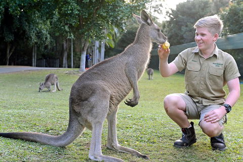 Small-Group Australia Zoo Day Trip From Brisbane - Accommodation Mooloolaba 4