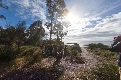 Bruny Island Day Tour, Includes Lunch And Exclusive Lighthouse Tour - Accommodation Mooloolaba 5