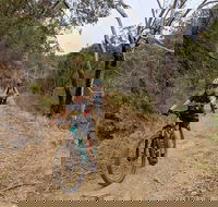 Mount Lofty Descent Bike Tour from Adelaide - Accommodation Mooloolaba