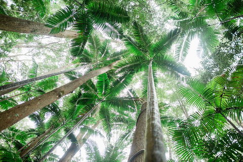 Fraser Explorer K'gari 2-Day Tour - Accommodation Mooloolaba 2