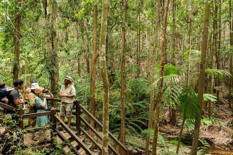 Fraser Explorer K'gari 2-Day Tour - Accommodation Mooloolaba 5