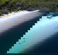 All-Inclusive Fraser Island Day Tour - Accommodation Mooloolaba