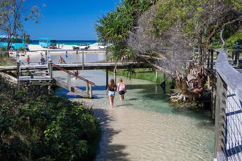 All-Inclusive Fraser Island Day Tour - Accommodation Mooloolaba 4