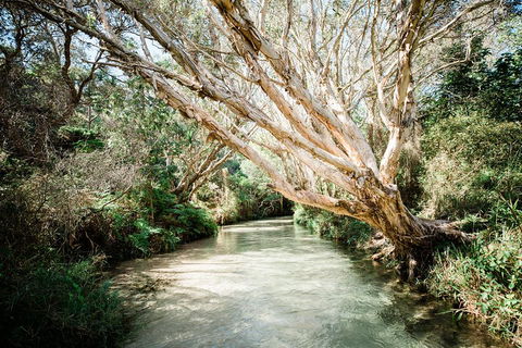 3-Day Fraser Island Resort Package - Accommodation Mooloolaba 5