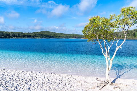 Lake McKenzie Full-Day Tour With Lunch From Hervey Bay - Accommodation Mooloolaba 1