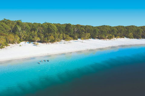 Lake McKenzie Full-Day Tour With Lunch From Hervey Bay - Accommodation Mooloolaba 4