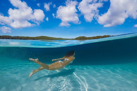 Lake McKenzie Full-Day Tour With Lunch From Hervey Bay - Accommodation Mooloolaba 5