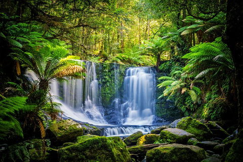 Day Tour In Mt. Field, Mt. Wellington, Bonorong Wildlife Sanctuary And Richmond - Accommodation Mooloolaba 0
