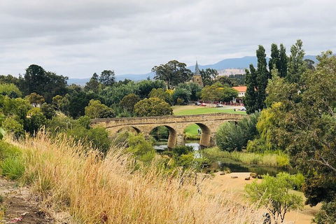 Day Tour In Mt. Field, Mt. Wellington, Bonorong Wildlife Sanctuary And Richmond - Accommodation Mooloolaba 3