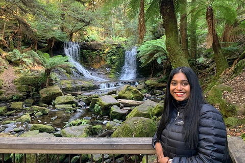 Day Tour In Mt. Field, Mt. Wellington, Bonorong Wildlife Sanctuary And Richmond - Accommodation Mooloolaba 5