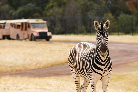 Werribee Open Range Zoo General Admission Ticket - Accommodation Mooloolaba 5