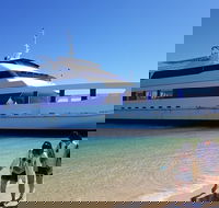 Moreton Island Day Trip Kayak Snorkel  Sandboard frm Brisbane or Gold Coast - Accommodation Mooloolaba