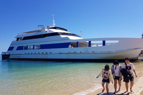 Moreton Island Day Trip (Kayak, Snorkel & Sandboard) Frm Brisbane Or Gold Coast - Accommodation Mooloolaba 0
