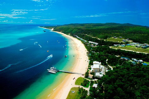 Tangalooma Island Resort Whale Watching Day Cruise - Accommodation Mooloolaba 2