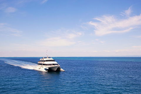 Tangalooma Island Resort Whale Watching Day Cruise - Accommodation Mooloolaba 5