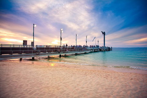 Tangalooma Island Resort Whale Watching Day Cruise With Dolphin Viewing - Accommodation Mooloolaba 3