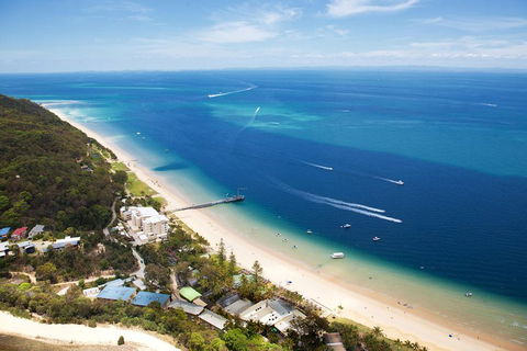 Tangalooma Island Resort Whale Watching Day Cruise With Dolphin Feeding - Accommodation Mooloolaba 2