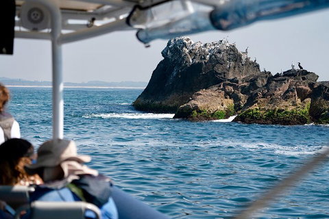 Julian Rocks Byron Bay Cruise - Accommodation Mooloolaba 2