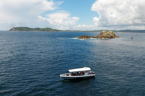 Julian Rocks Byron Bay Cruise - Accommodation Mooloolaba 5