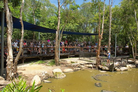 Hartley's Crocodile Adventures Breakfast With The Koalas - Accommodation Mooloolaba 1